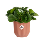 vibes fold rund mini 9cm zartrosa